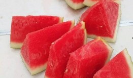 今日吃瓜每日大赛,盘点娱乐圈最新热点事件